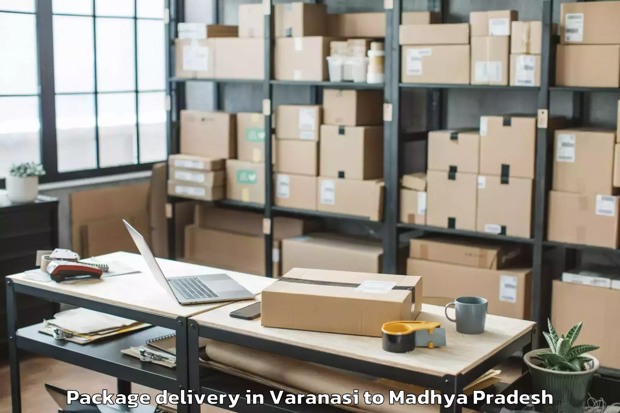 Trusted Varanasi to Pohari Package Delivery